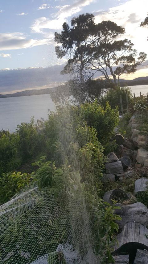 AppleBay Guest House - Accommodation in Brisbane 21