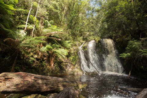 Strahan Village - Accommodation in Brisbane 27