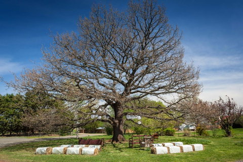 Ratho Farm - Accommodation in Brisbane 8