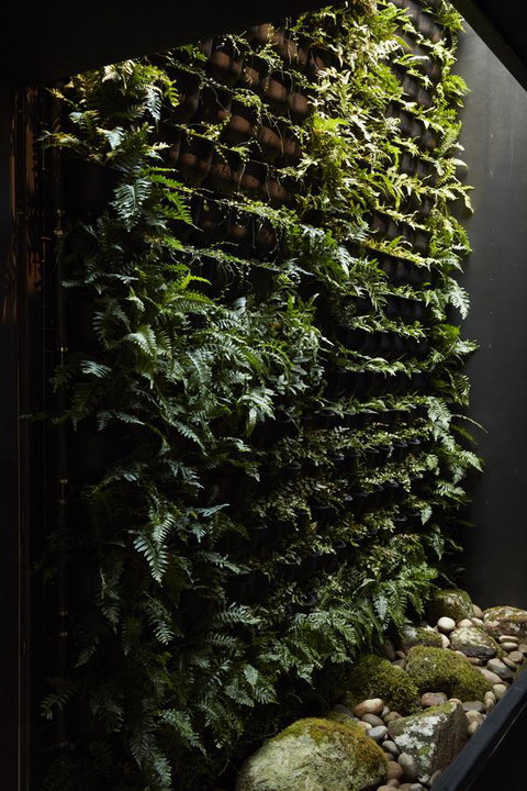 Moss Hotel - Accommodation in Brisbane 2
