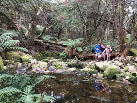Derby Forest Cabins - Accommodation in Brisbane 17