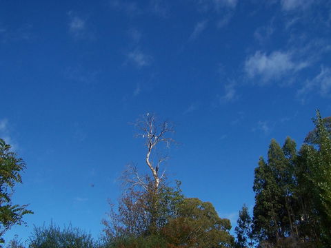 Drumreagh Cabins - Accommodation in Brisbane 8