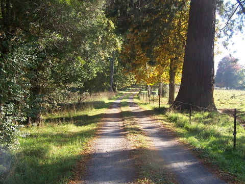 Drumreagh Cabins - Accommodation in Brisbane 5