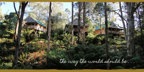 Lemonthyme Wilderness Retreat - Accommodation in Brisbane 20