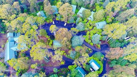 Lemonthyme Wilderness Retreat - Accommodation in Brisbane 1