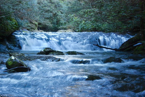 Lemonthyme Wilderness Retreat - Accommodation in Brisbane 10