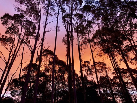 Lemonthyme Wilderness Retreat - Accommodation in Brisbane 8