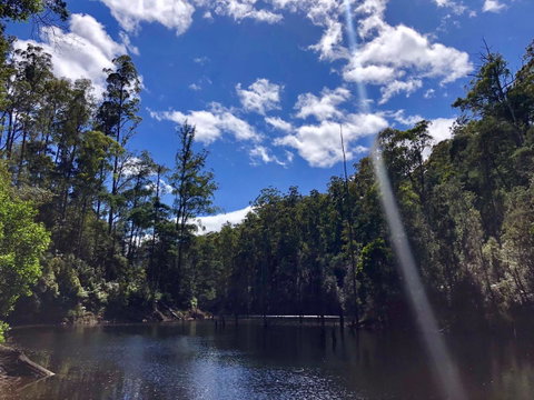 Lemonthyme Wilderness Retreat - Accommodation in Brisbane 7