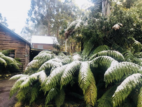 Lemonthyme Wilderness Retreat - Accommodation in Brisbane 5