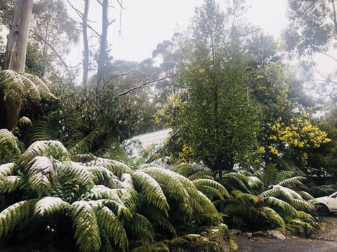 Lemonthyme Wilderness Retreat - Accommodation in Brisbane 16