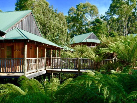 Lemonthyme Wilderness Retreat - Accommodation in Brisbane 11