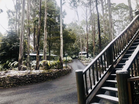 Lemonthyme Wilderness Retreat - Accommodation in Brisbane 15