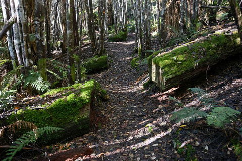 Lemonthyme Wilderness Retreat - Accommodation in Brisbane 22