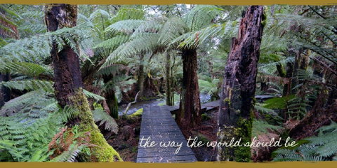 Lemonthyme Wilderness Retreat - Accommodation in Brisbane 17