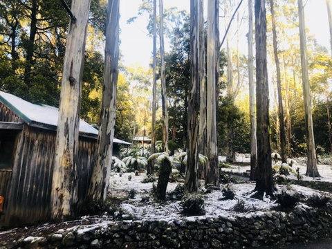 Lemonthyme Wilderness Retreat - Accommodation in Brisbane 6