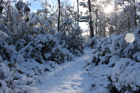 Cradle Mountain Hotel - Accommodation in Brisbane 4