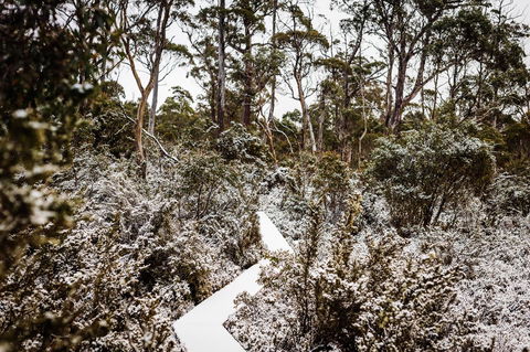 Cradle Mountain Hotel - Accommodation in Brisbane 6