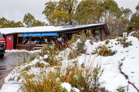 Discovery Parks - Cradle Mountain - Accommodation in Brisbane 29