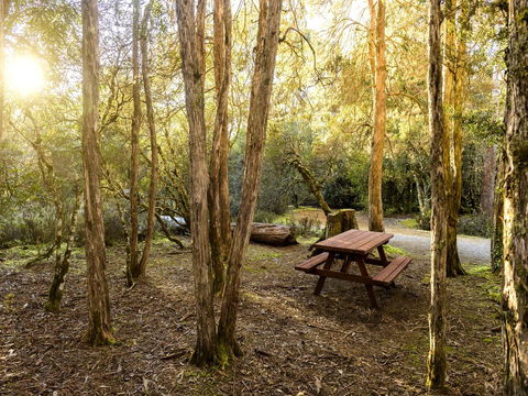 Discovery Parks - Cradle Mountain - Accommodation in Brisbane 19