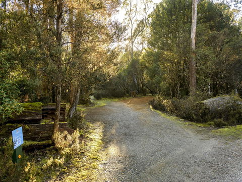Discovery Parks - Cradle Mountain - Accommodation in Brisbane 1