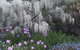 Beezneez B&B - thumb 15