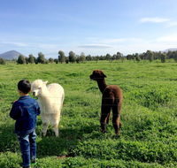 Taras Richmond Farmstay - Accommodation in Brisbane