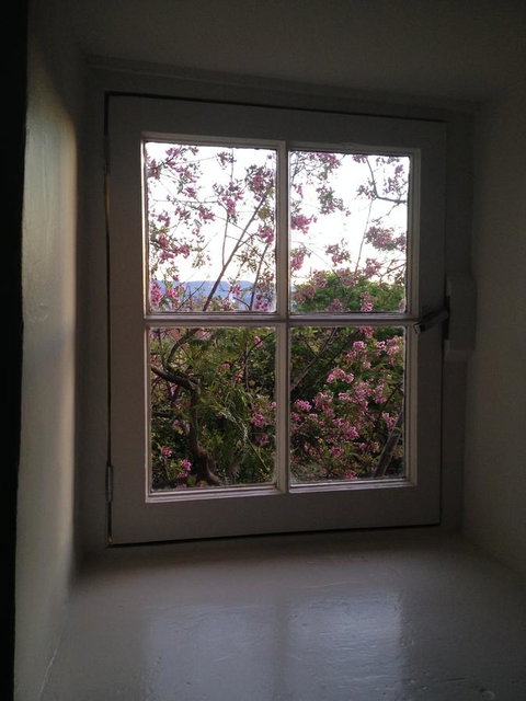 Blue Magnolia - Accommodation in Brisbane 36