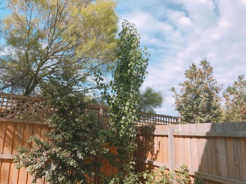 Ellia Doncaster Apartment - Accommodation in Brisbane 17