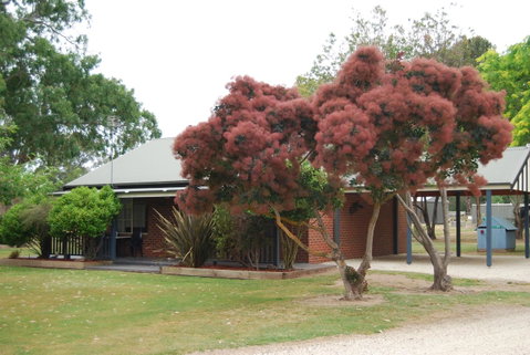 Greenvale Holiday Units - Accommodation in Brisbane 9