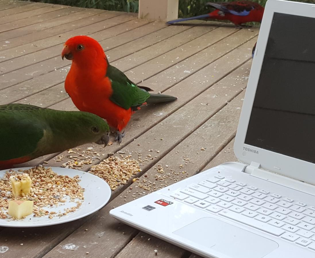  Accommodation in Brisbane