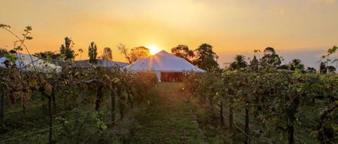 Bay Motel Safety Beach - Accommodation in Brisbane 21