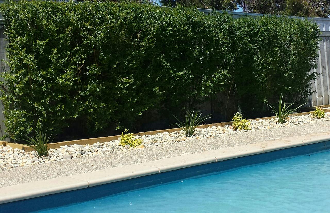 Annuello VIC Accommodation in Brisbane