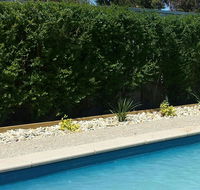 Robinvale Bridge Motel - Accommodation in Brisbane