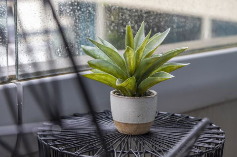 Signature Waterfront Apartments - Accommodation in Brisbane 20