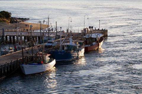 Arcadia Phillip Island - Accommodation in Brisbane 26