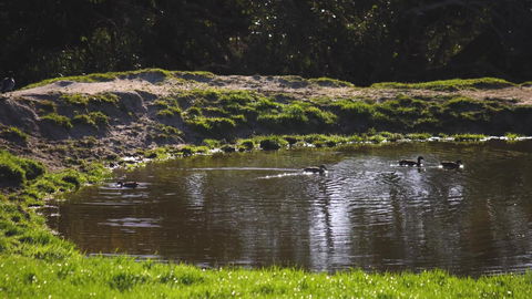 Limosa Rise - Accommodation in Brisbane 15