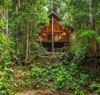 The Canopy Rainforest Treehouses  Wildlife Sanctuary
