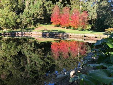 The Drawing Rooms Of Berry - Accommodation in Brisbane 2