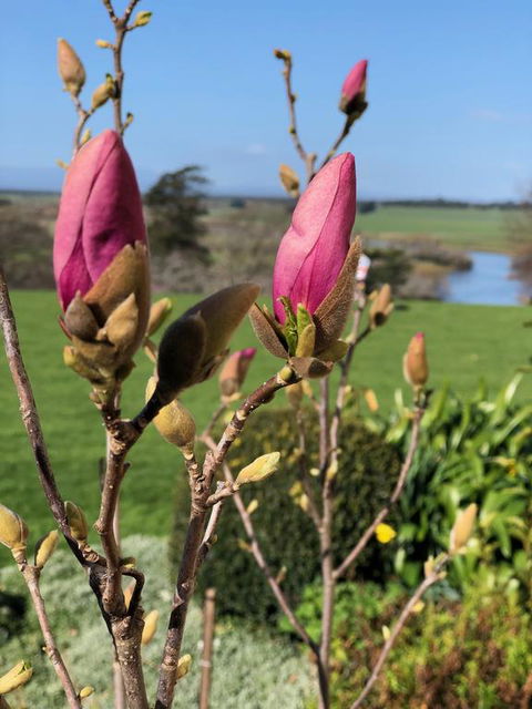 The Granary - Accommodation in Brisbane 3