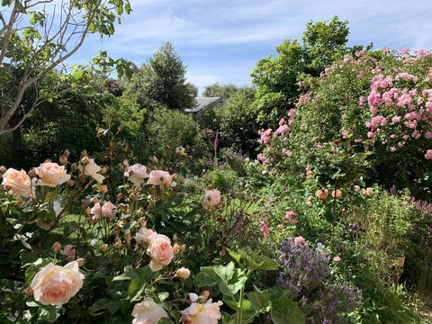 The Racecourse Inn - Accommodation in Brisbane 2