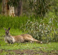 The Stirling Golf Club - Accommodation in Brisbane