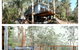 The Tree House - thumb 3