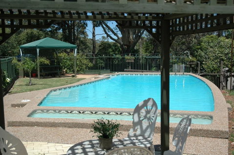 The Tree Motel - Accommodation in Brisbane 0