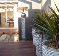 The Wet Lizard - Accommodation in Brisbane