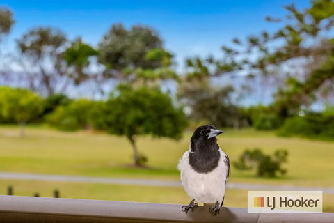 TRADEWINDS 1 - Accommodation in Brisbane 1