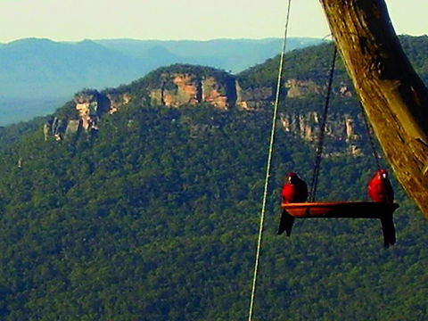 Valley Of The Waters B&B - Accommodation in Brisbane 3