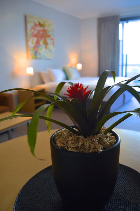Mansfield Apartments - Accommodation in Brisbane 21