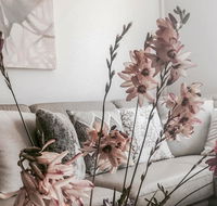 Bed of Roses - Accommodation in Brisbane