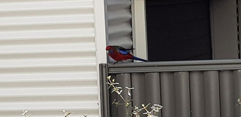 Torquay Timeout - Accommodation in Brisbane 15