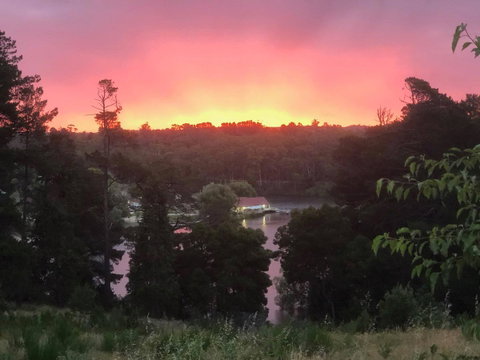 Minni Gums - Accommodation in Brisbane 2